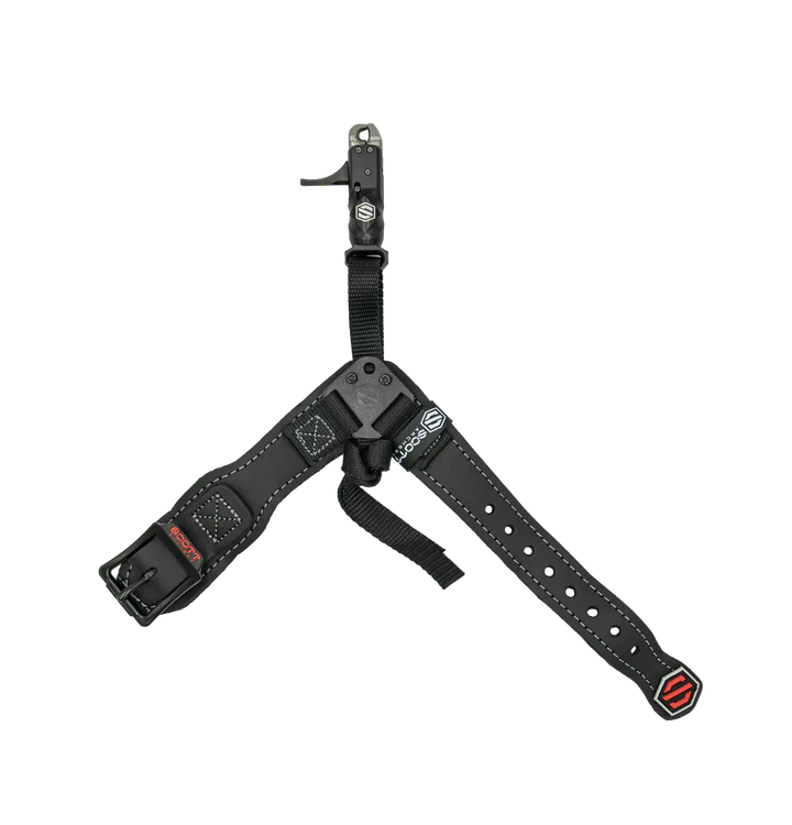 Scott Echo Release