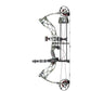 Bowtech Carbon Zion DLX Package