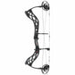 Bowtech Carbon Zion